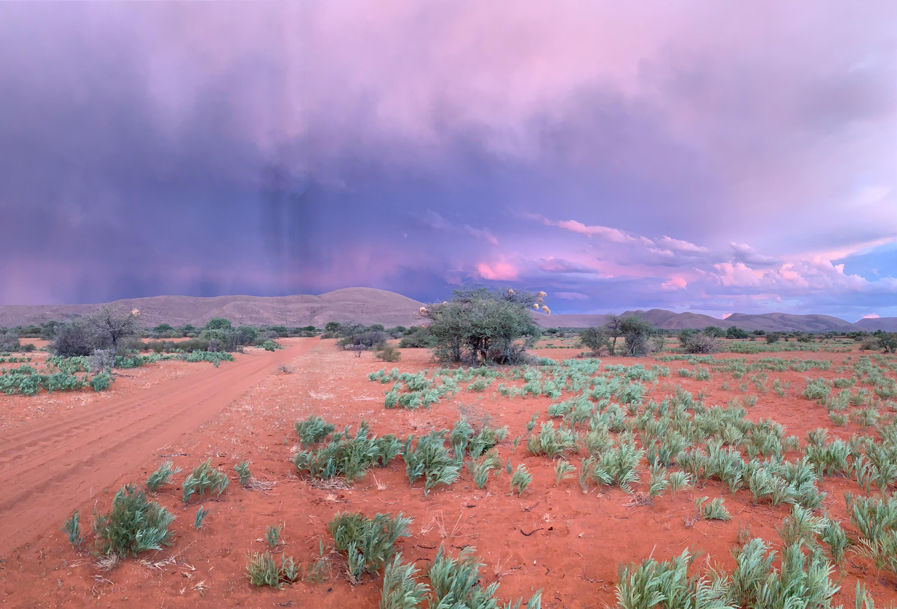 The Kalahari