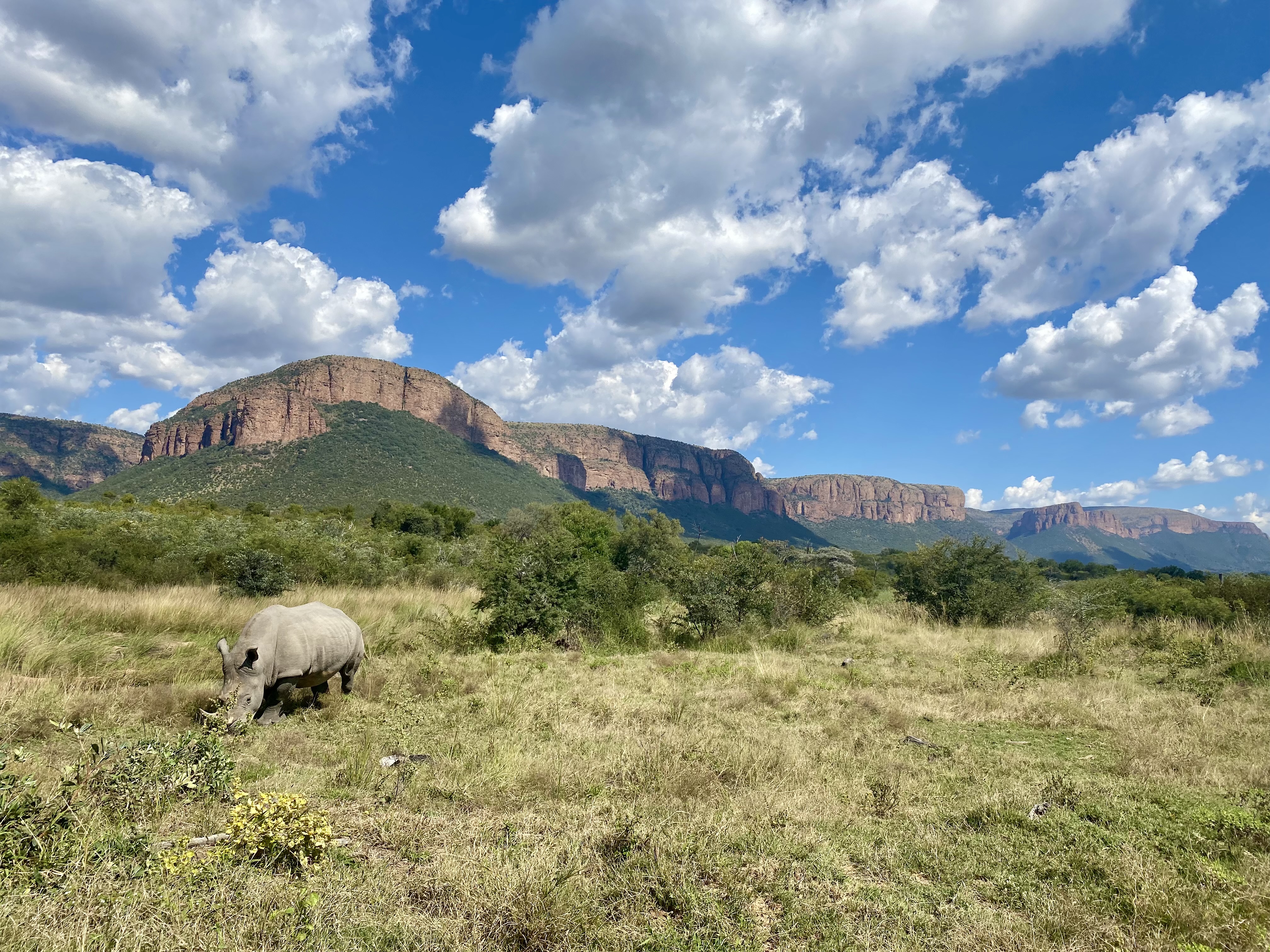 Waterberg